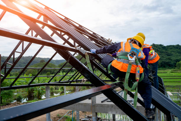 Best Local Roofing Companies  in Belcourt, ND
