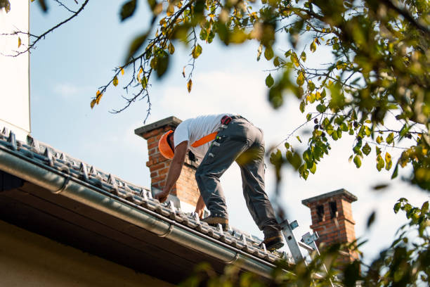 Roof Waterproofing Services in Belcourt, ND