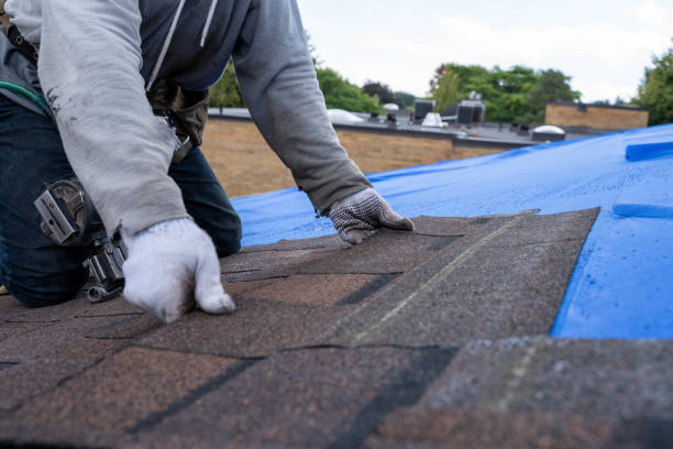 Quick and Trustworthy Emergency Roof Repair Services in Belcourt, ND