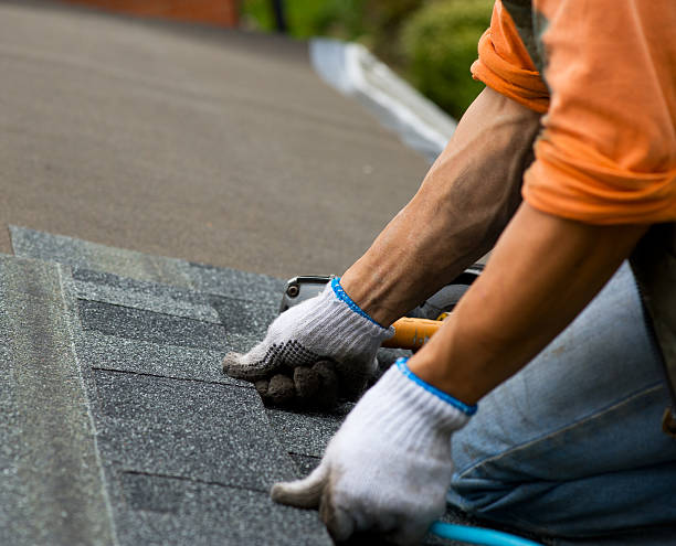 Best Residential Roofing Contractor  in Belcourt, ND