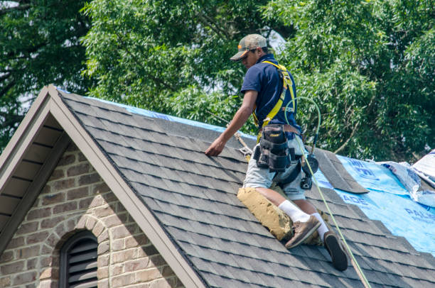 Best Roof Waterproofing Services  in Belcourt, ND